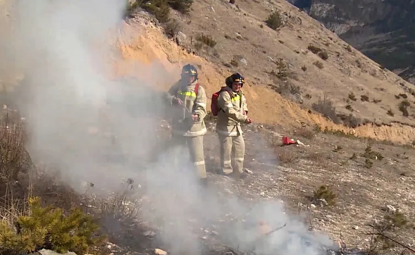 В&nbsp;2025&nbsp;году на&nbsp;территории Северной Осетии не&nbsp;допустили лесных пожаров