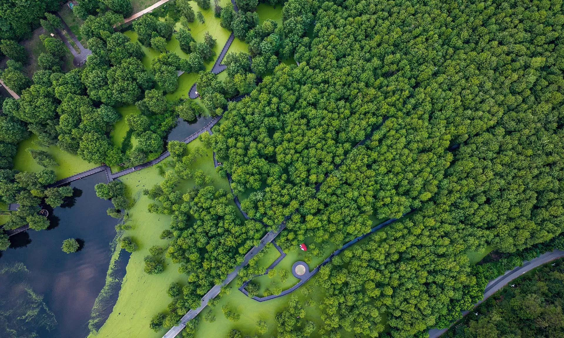 Tang Fangxiao/VCG/Visual China G/ТАСС