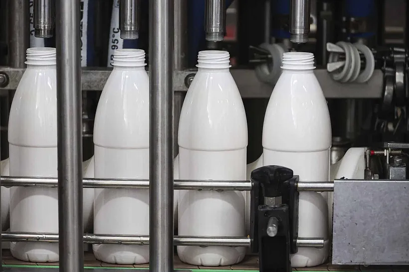 Хозяйство в&nbsp;Астраханской области запустит производство верблюжьего молока