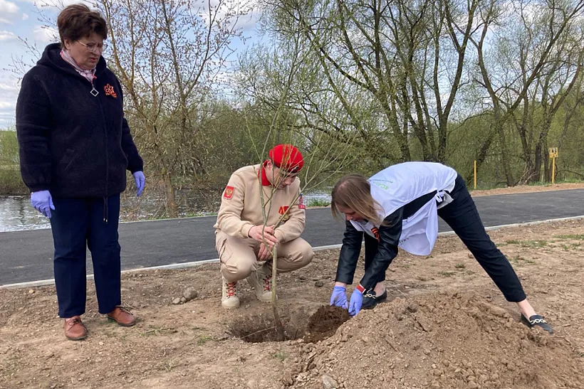 В&nbsp;псковском городе Великие Луки высадили &laquo;Сад памяти&raquo;