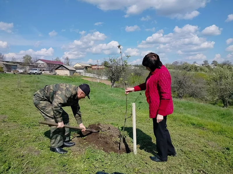 В&nbsp;Валуйском округе Белгородской области заложили яблоневый сад
