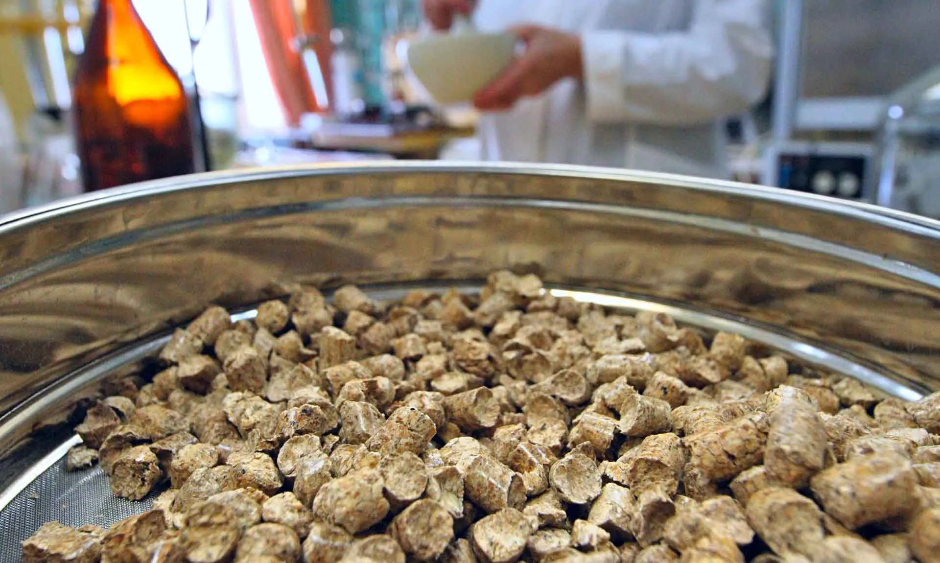 Фото ИТАР-ТАСС/ Владимир Смирнов