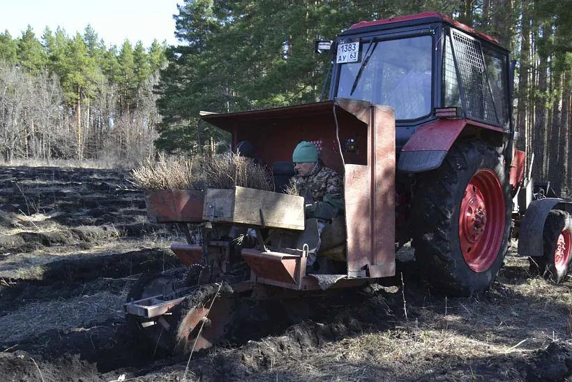 В&nbsp;Шигонском районе Самарской области восстановят 31&nbsp;гектар леса