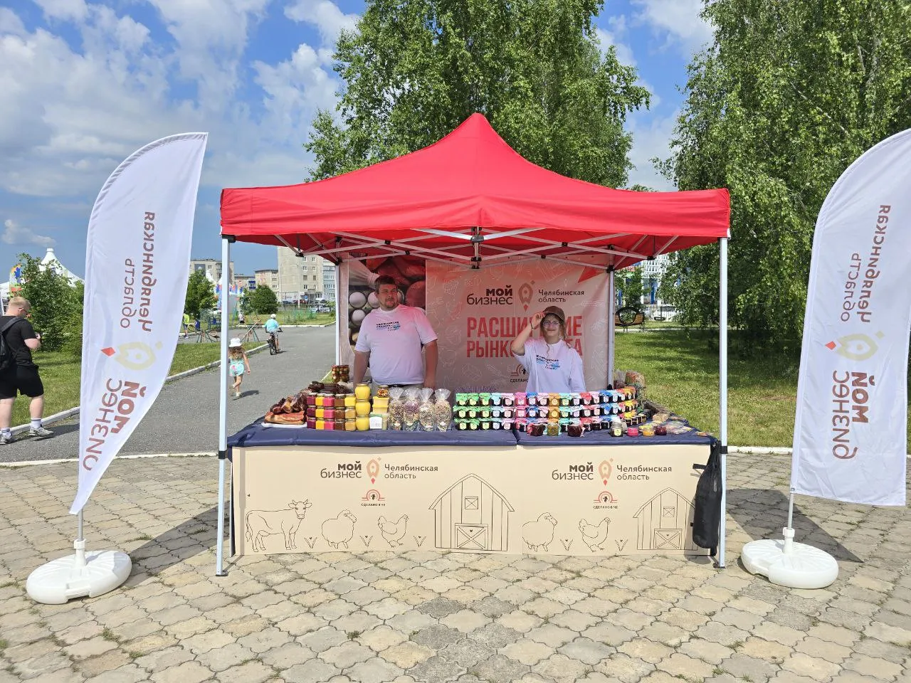 Министерство экономического развития Челябинской области