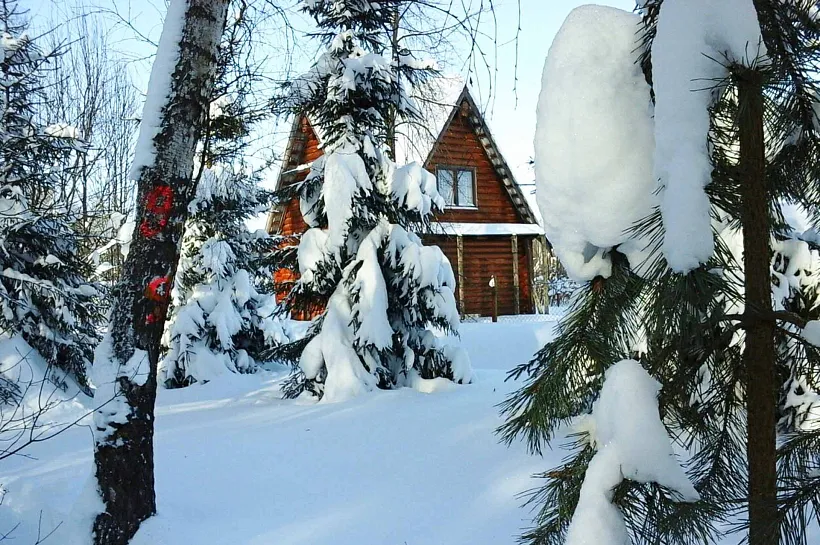 В&nbsp;Ступинском округе Подмосковья срубят 240&nbsp;аварийных и&nbsp;сухостойных деревьев