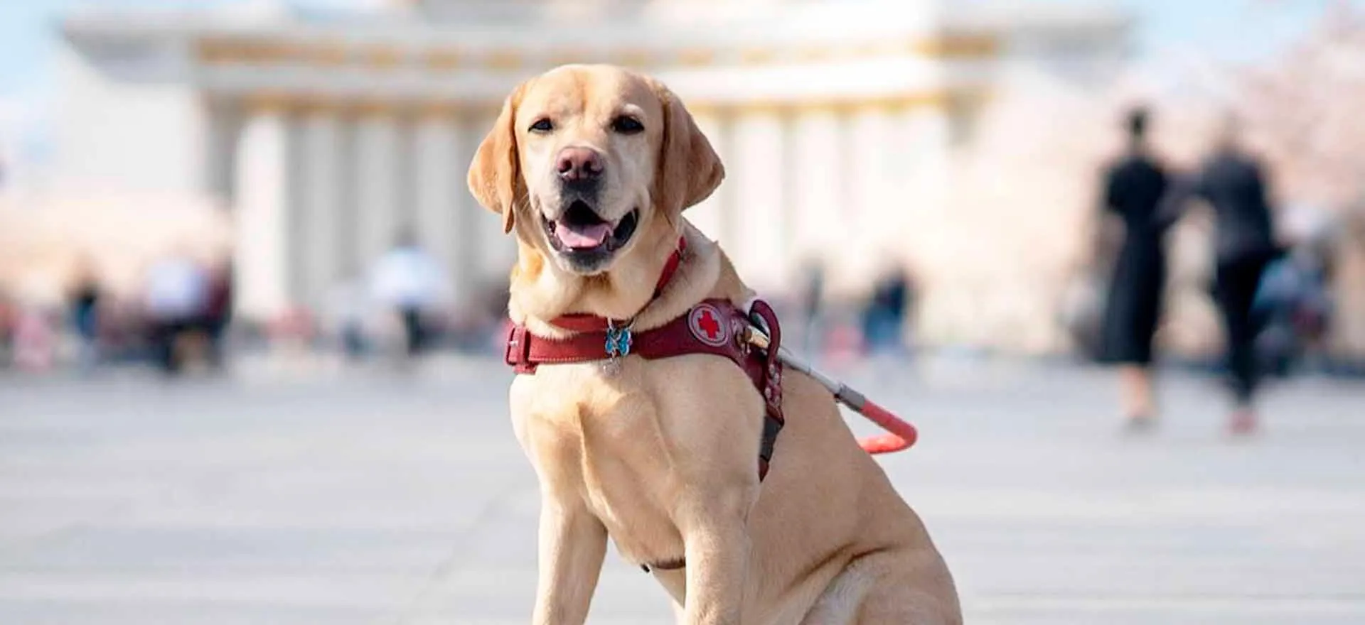 Департамент экономической политики и развития г. Москвы