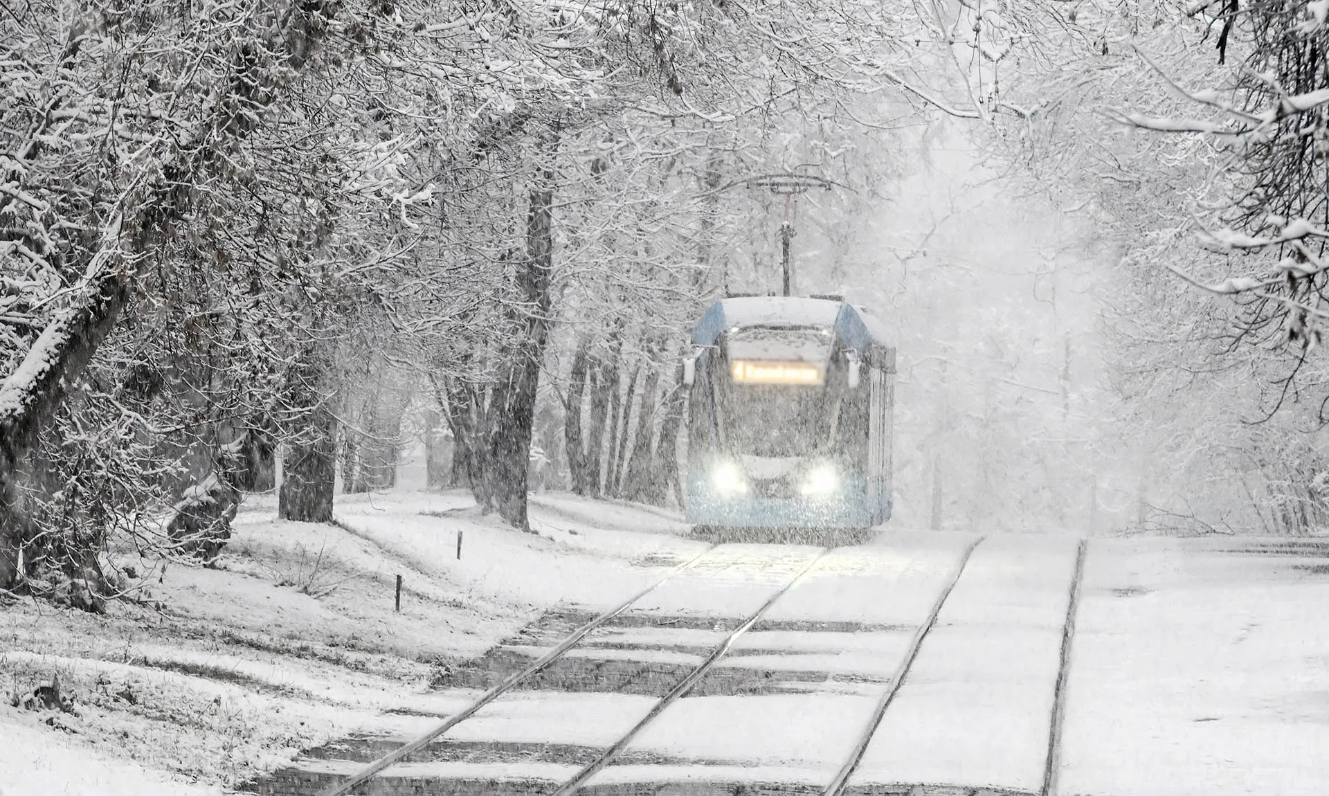  Михаил Воскресенский/РИА Новости 