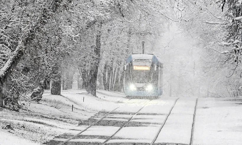 На&nbsp;трамвайной остановке в&nbsp;Санкт-Петербурге уложили цветной асфальтобетон