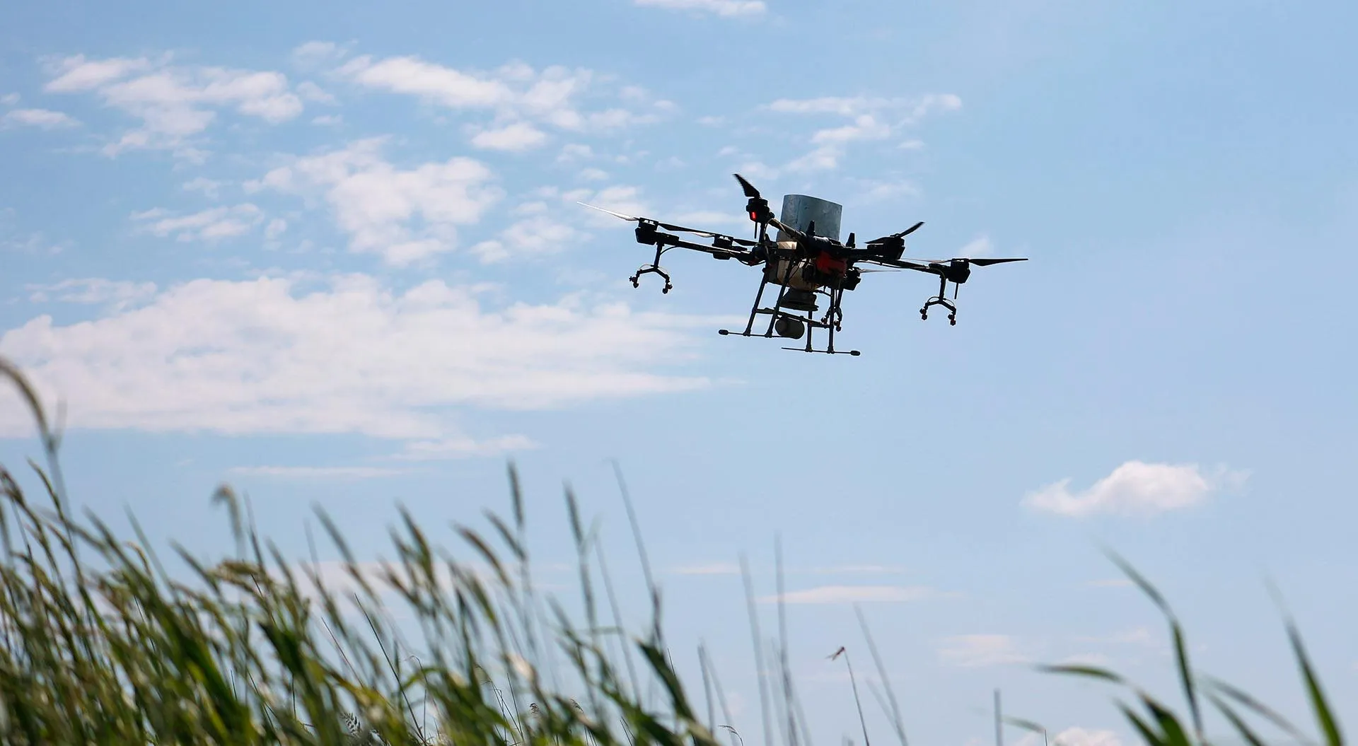 Виталий Тимкив/РИА Новости 