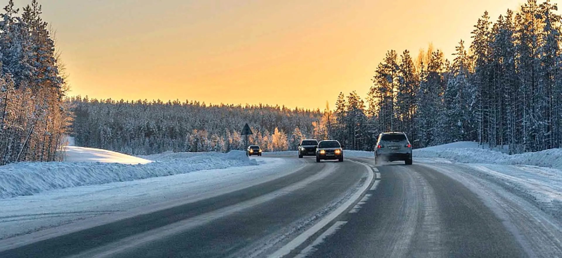 Центр развития туризма и культуры Архангельской области