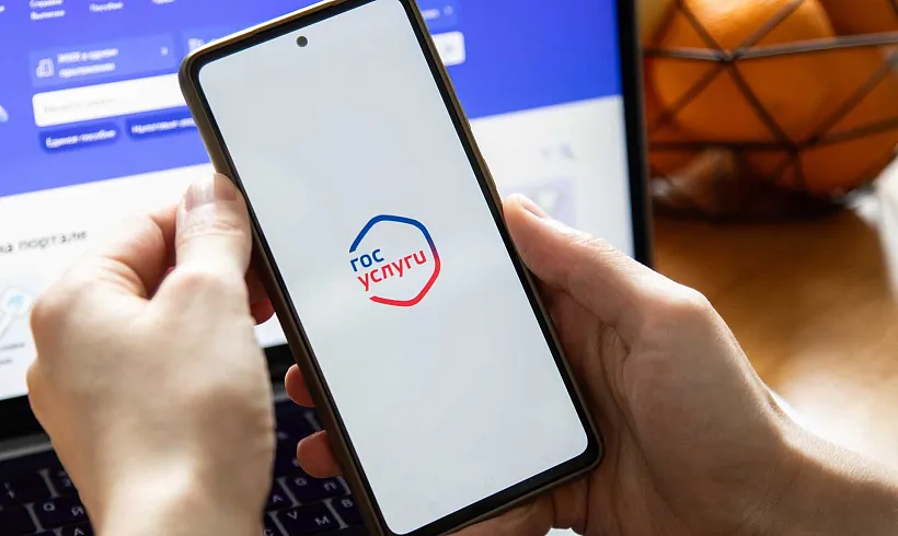 Почти 45&nbsp;тысяч жителей КЧР получили выписку из&nbsp;электронной трудовой книжки