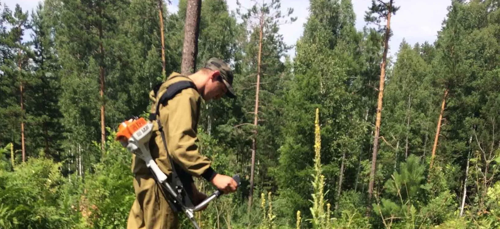 Министерство природных ресурсов и экологии Алтайского края