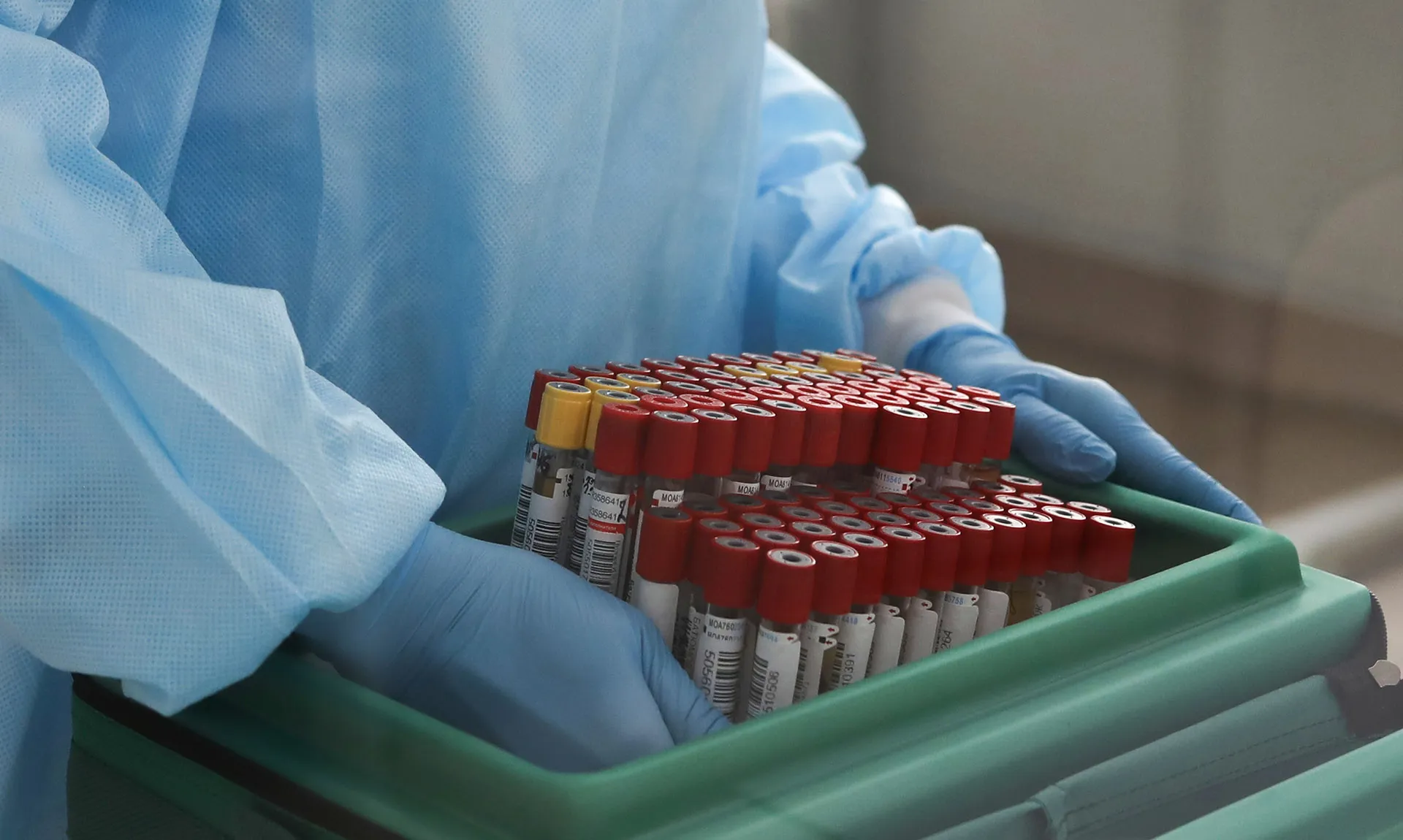 Анастасия Макарычева/РИА Новости 