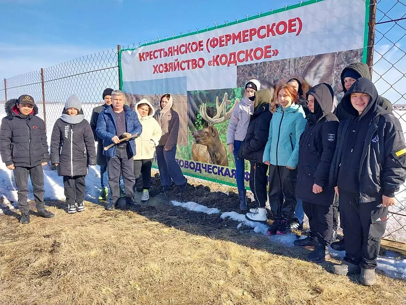 Мараловодческую ферму посетили ученики Спицынской школы Курганской области