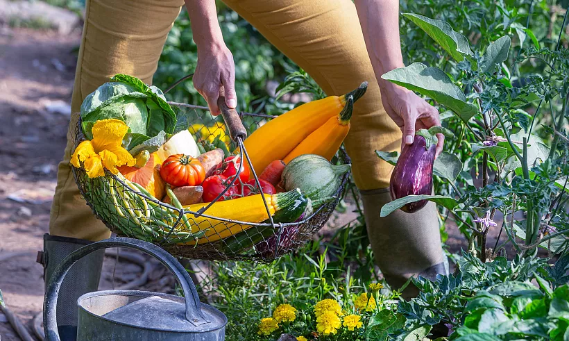В&nbsp;Ненецком АО фермеры могут получить помощь в&nbsp;продвижении продукции