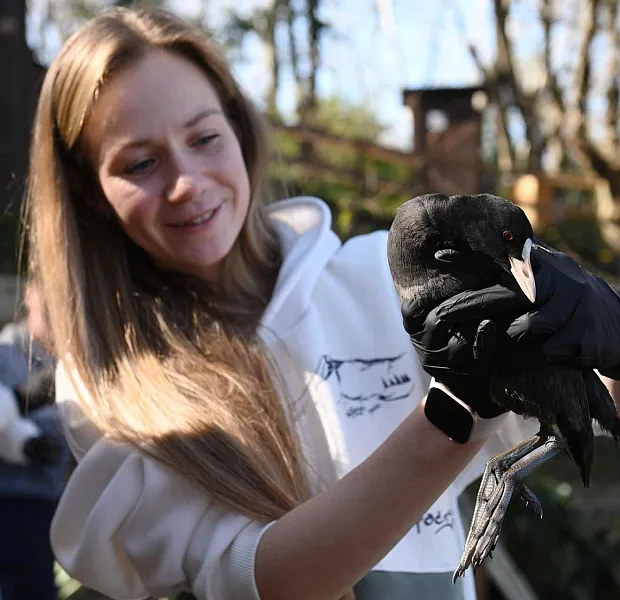 Открыт второй набор на&nbsp;бесплатный курс по&nbsp;волонтерству в&nbsp;зонах бедствия