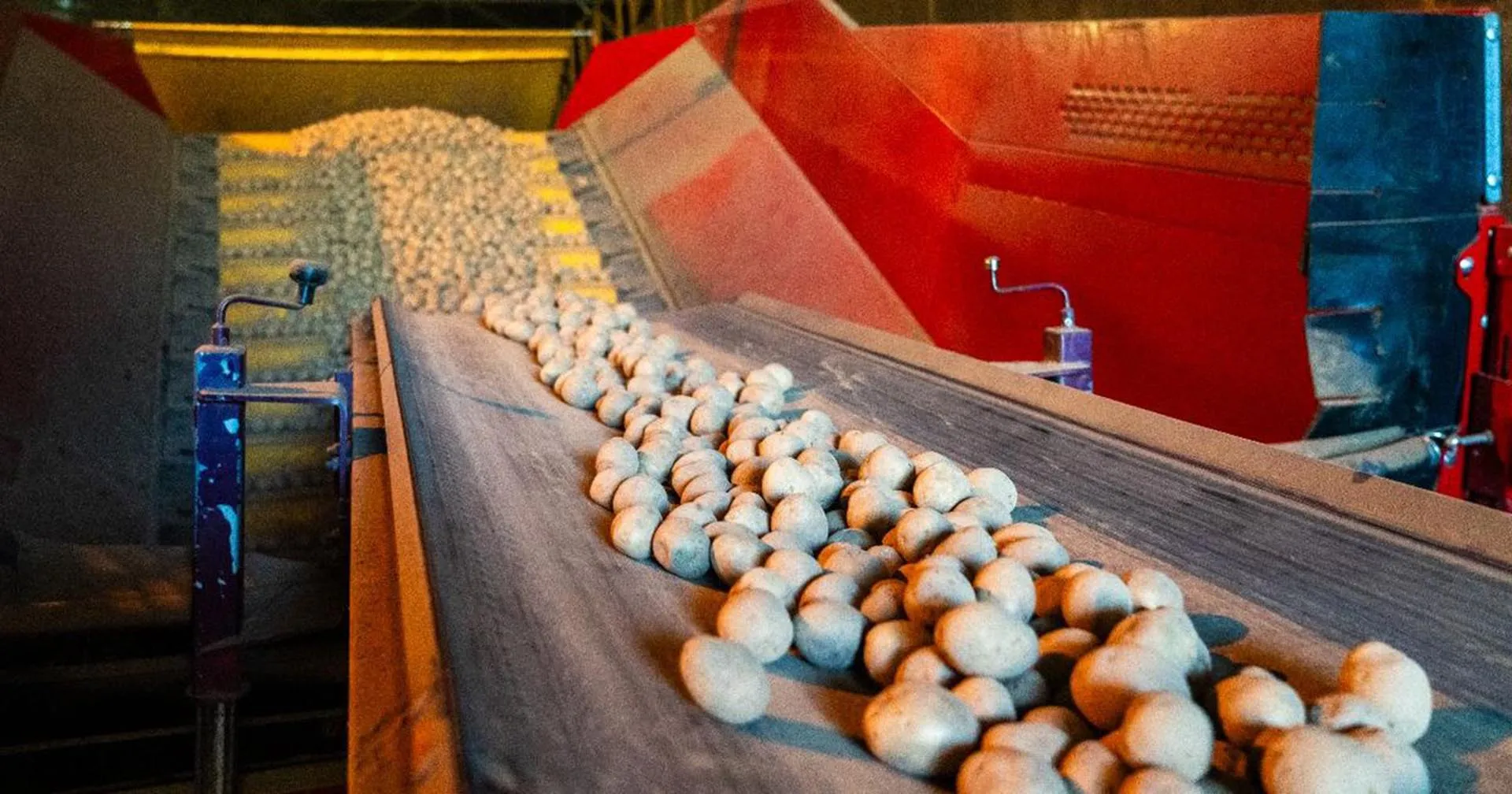 Министерство информации и молодежной политики Московской области