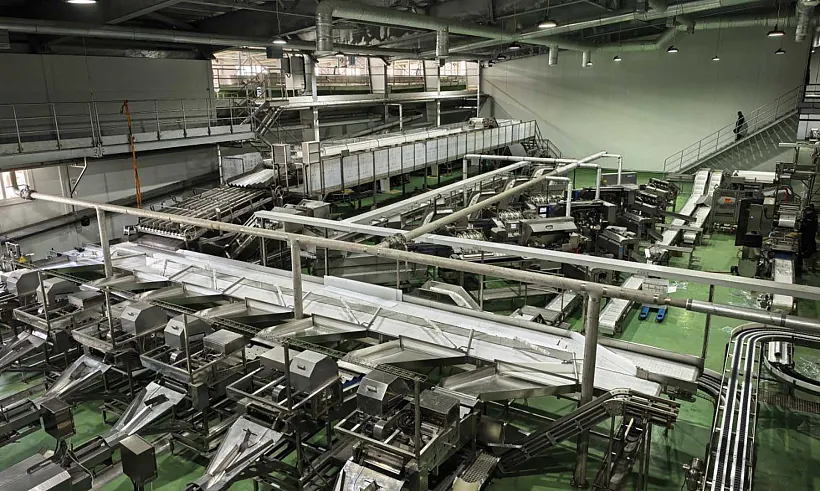 На&nbsp;Сахалине школьники посетили рыбоперерабатывающее предприятие