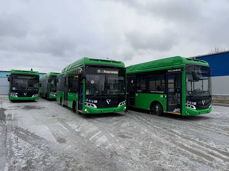 Для&nbsp;Челябинской области в&nbsp;2025&nbsp;году приобрели 120&nbsp;автобусов