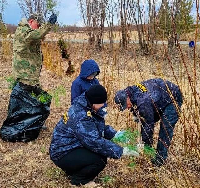 В&nbsp;югорском поселке Приобье прошла акция &laquo;День весенних древонасаждений&raquo;