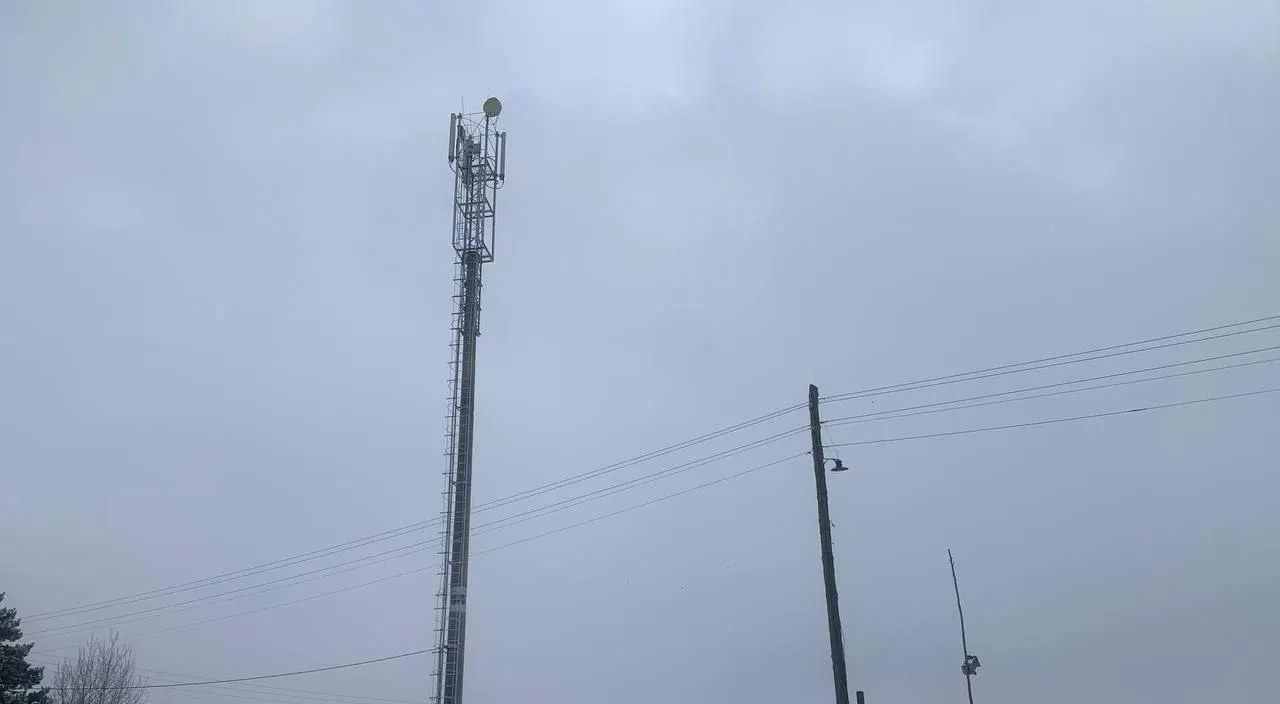 Министерство цифрового развития Красноярского края