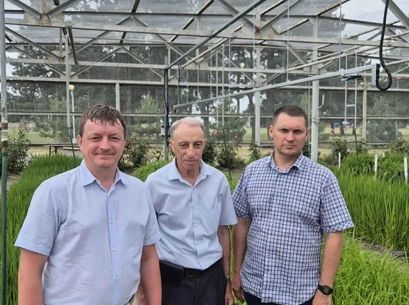 На&nbsp;Кубани прошел День поля