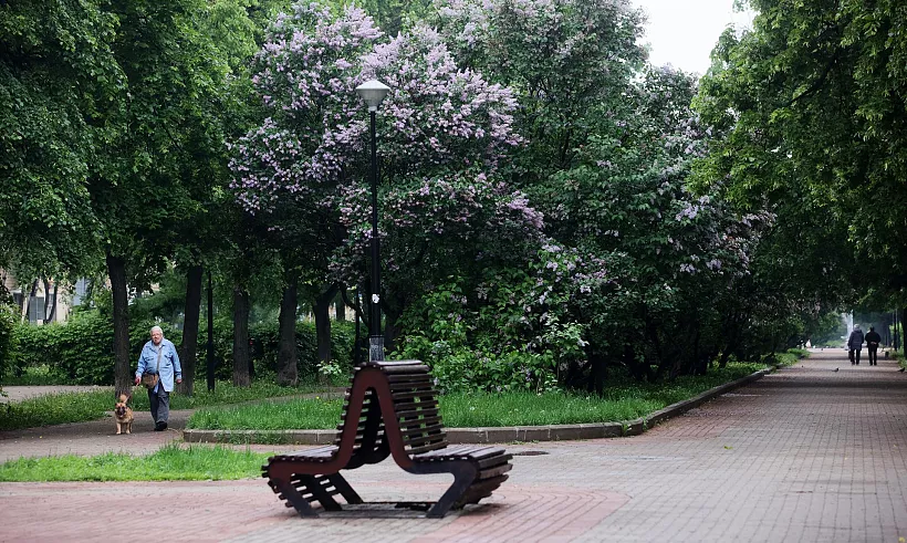 В&nbsp;поселке Ливадия Приморского края отремонтируют сквер