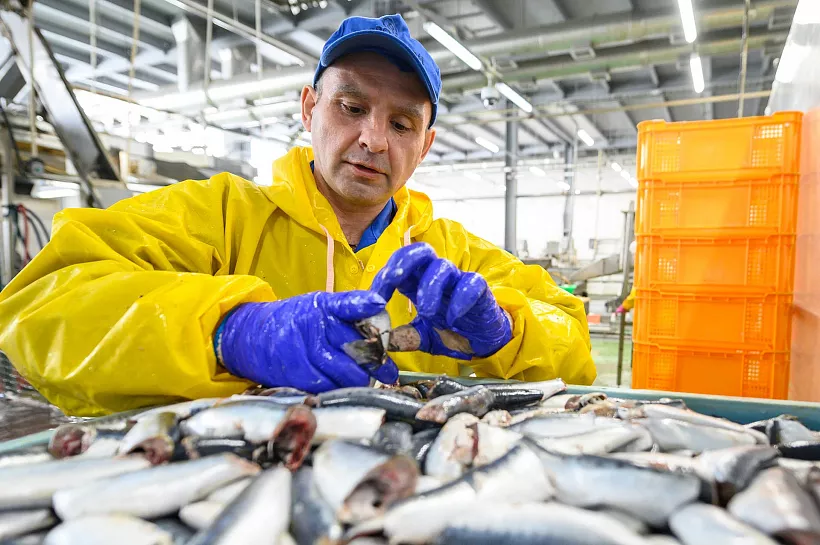 Краснодарская рыбная компания увеличила выработку на&nbsp;10%