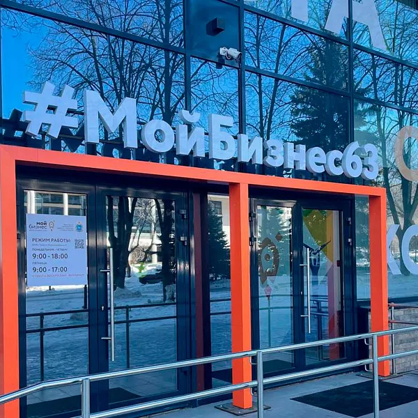 В&nbsp;центрах &laquo;Мой бизнес&raquo; Самарской области за&nbsp;год оказали более 30&nbsp;тыс. услуг