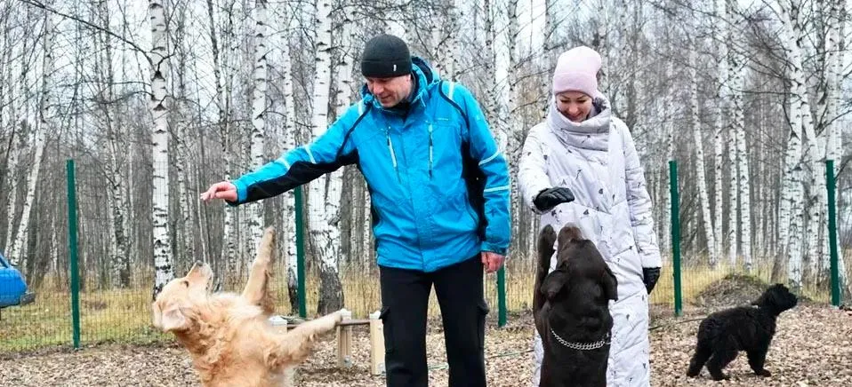 Правительство Ивановской области
