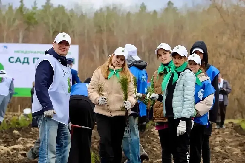 В&nbsp;Красноярском лесничестве Самарской области высадили 38&nbsp;тысяч деревьев