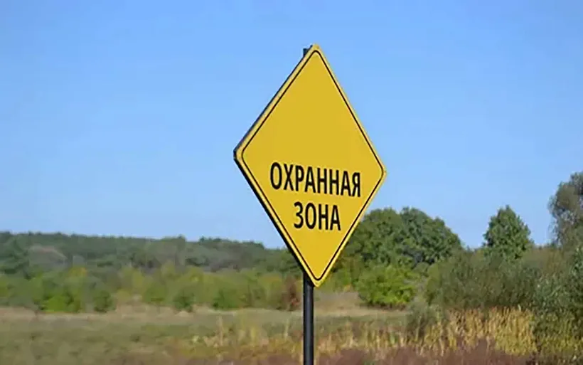 В&nbsp;Подмосковье установили охранную зону для&nbsp;&laquo;Лесопарка в&nbsp;деревне Жуково&raquo;