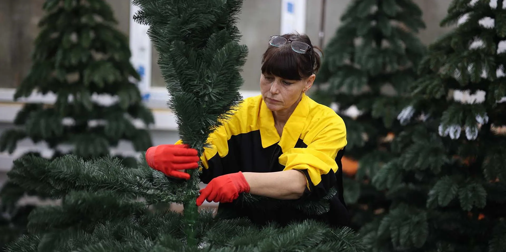 Виталий Тимкив/РИА Новости