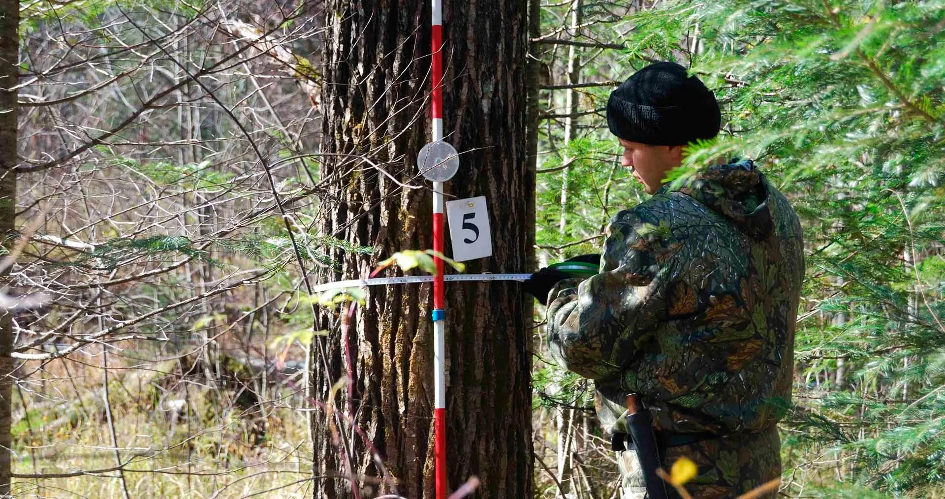 Министерство лесного хозяйства Республики Татарстан