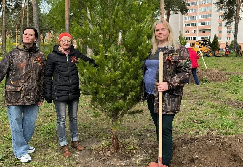 В&nbsp;трех районах Владимирской области высадили более 20&nbsp;тысяч деревьев