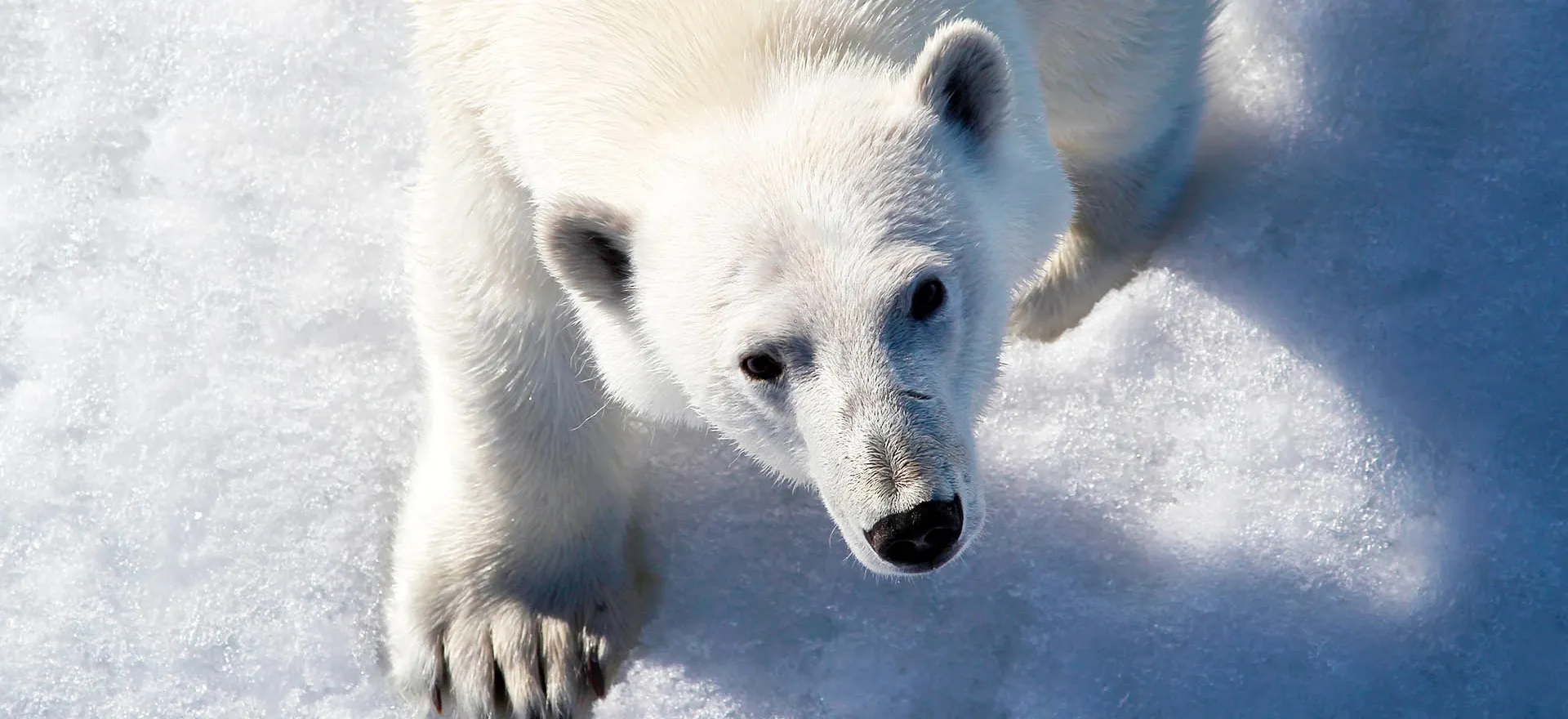 Вера Костамо/РИА Новости