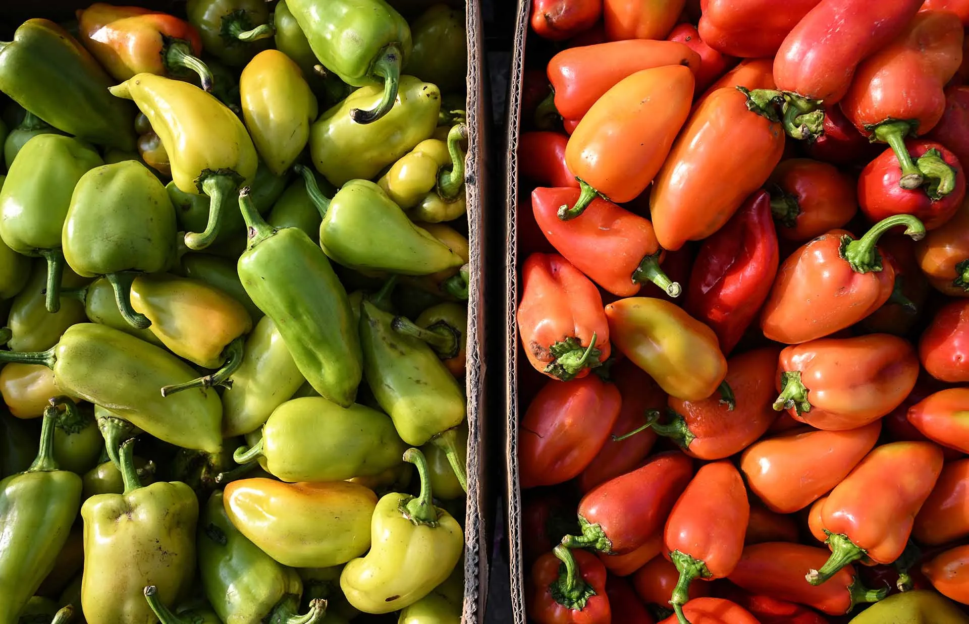 Константин Михальчевский/РИА Новости