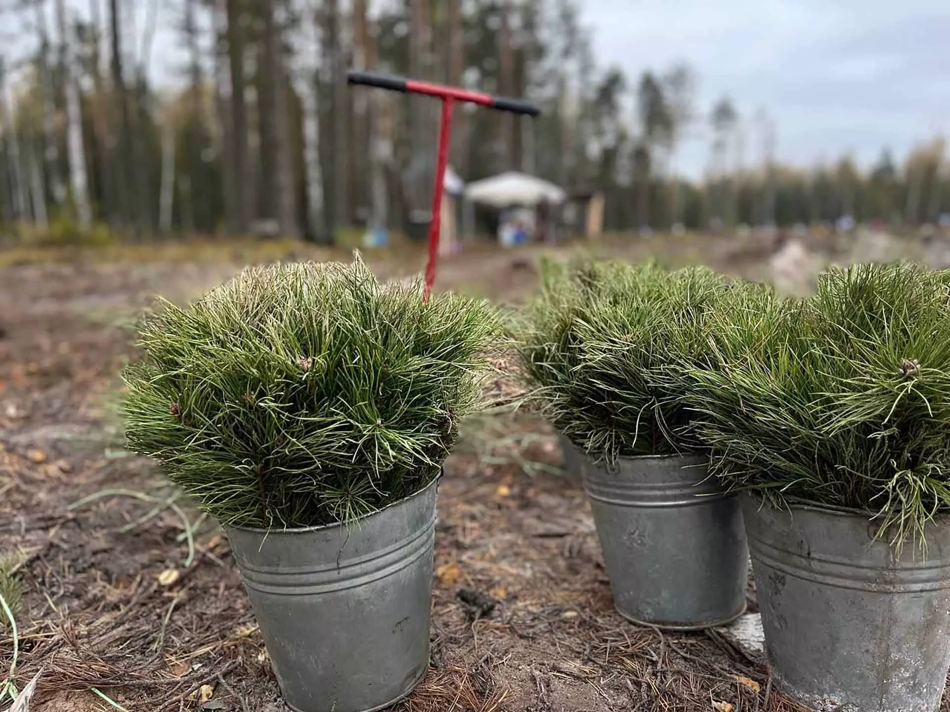  Пресс-служба Правительства Нижегородской области