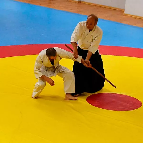 В&nbsp;Казани проходит международный фестиваль айкидо