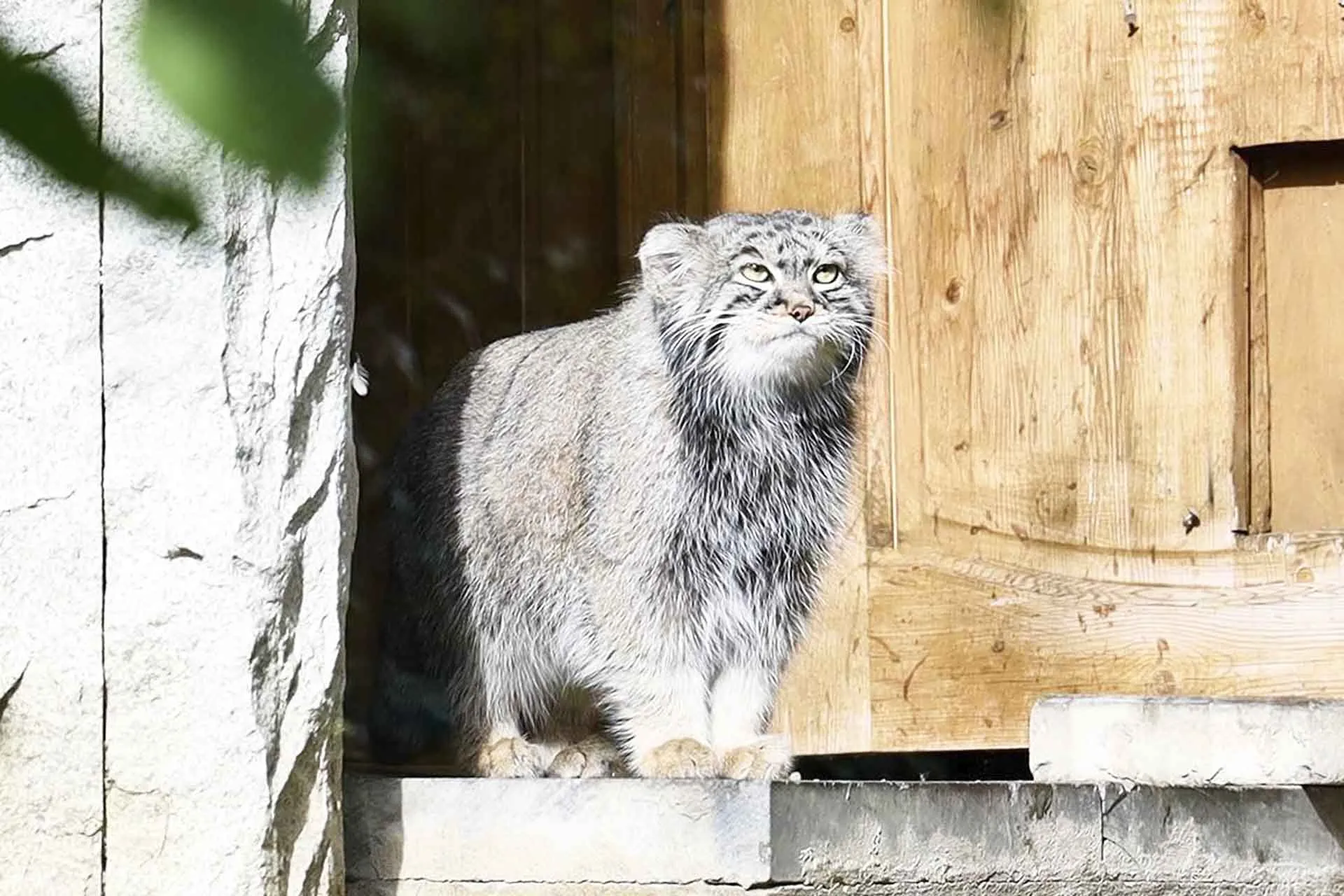 Московский зоопарк теперь можно осмотреть по&nbsp;интерактивному маршруту