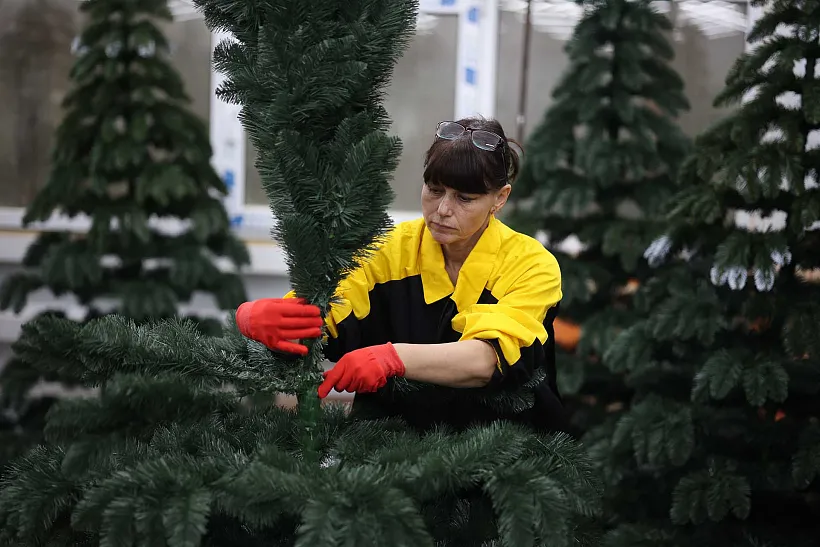 Севастопольское предприятие приступило к&nbsp;оптимизации бизнес-процессов