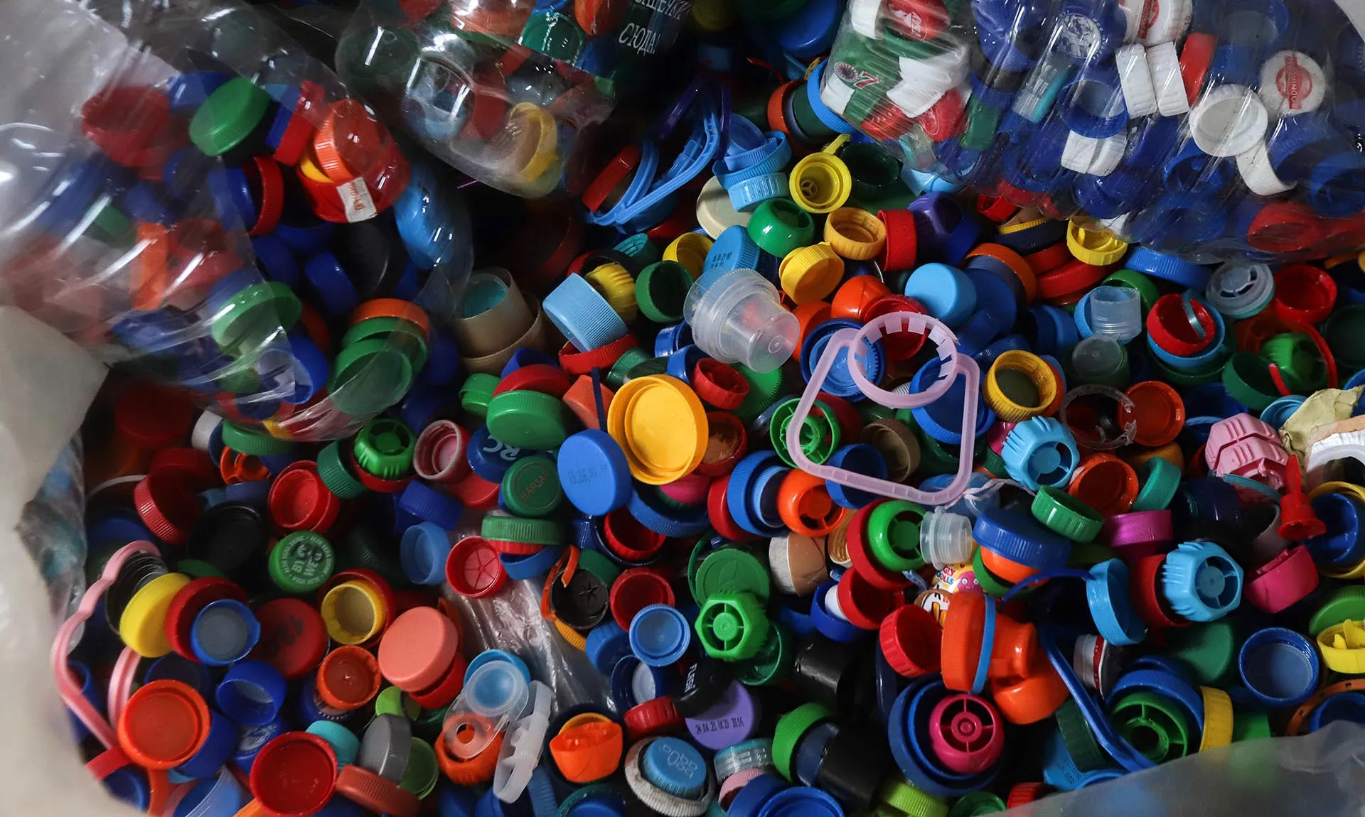 В&nbsp;Курчалоевском районе Чечни запущена программа по&nbsp;раздельному сбору мусора