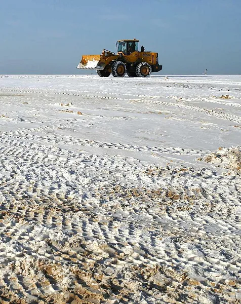 В&nbsp;Тобольске в&nbsp;2025&nbsp;году ликвидировали 30&nbsp;свалок
