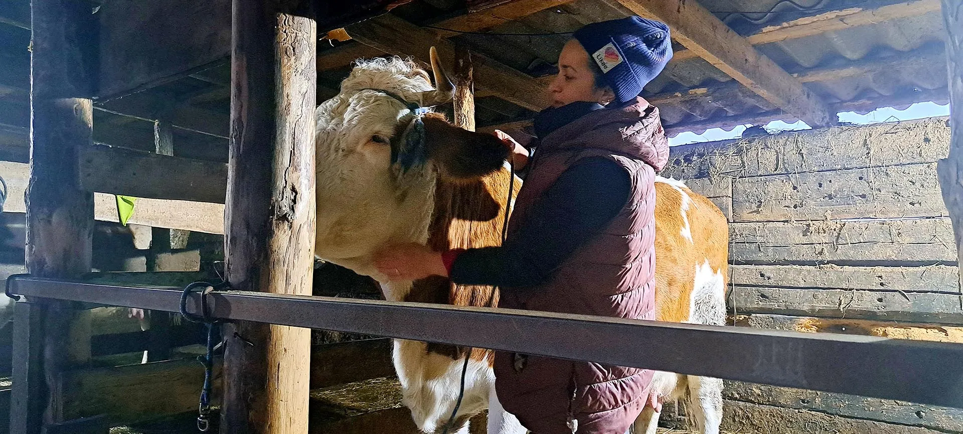 Министерство социальной защиты Воронежской области