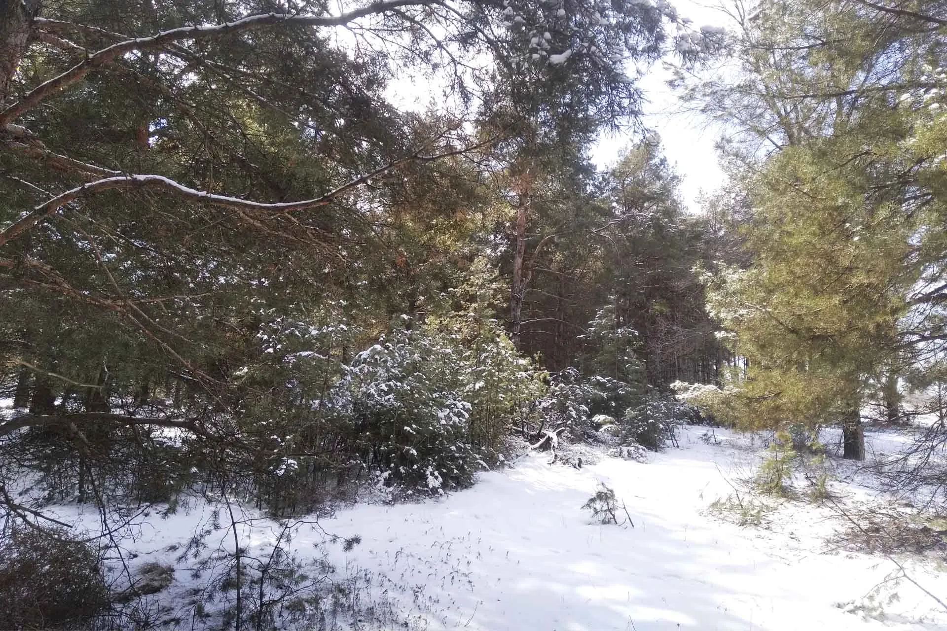 Комитет природных ресурсов, лесного хозяйства и экологии Волгоградской области