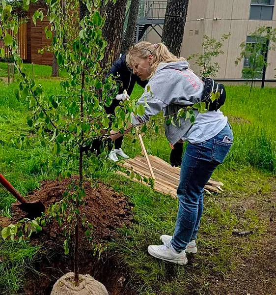 Осенью в&nbsp;Перми высадят около 10&nbsp;тысяч деревьев и&nbsp;кустарников