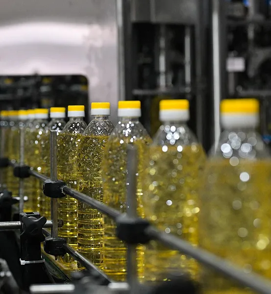 Экспорт продукции АПК Оренбуржья увеличился более чем на&nbsp;20% за&nbsp;полгода