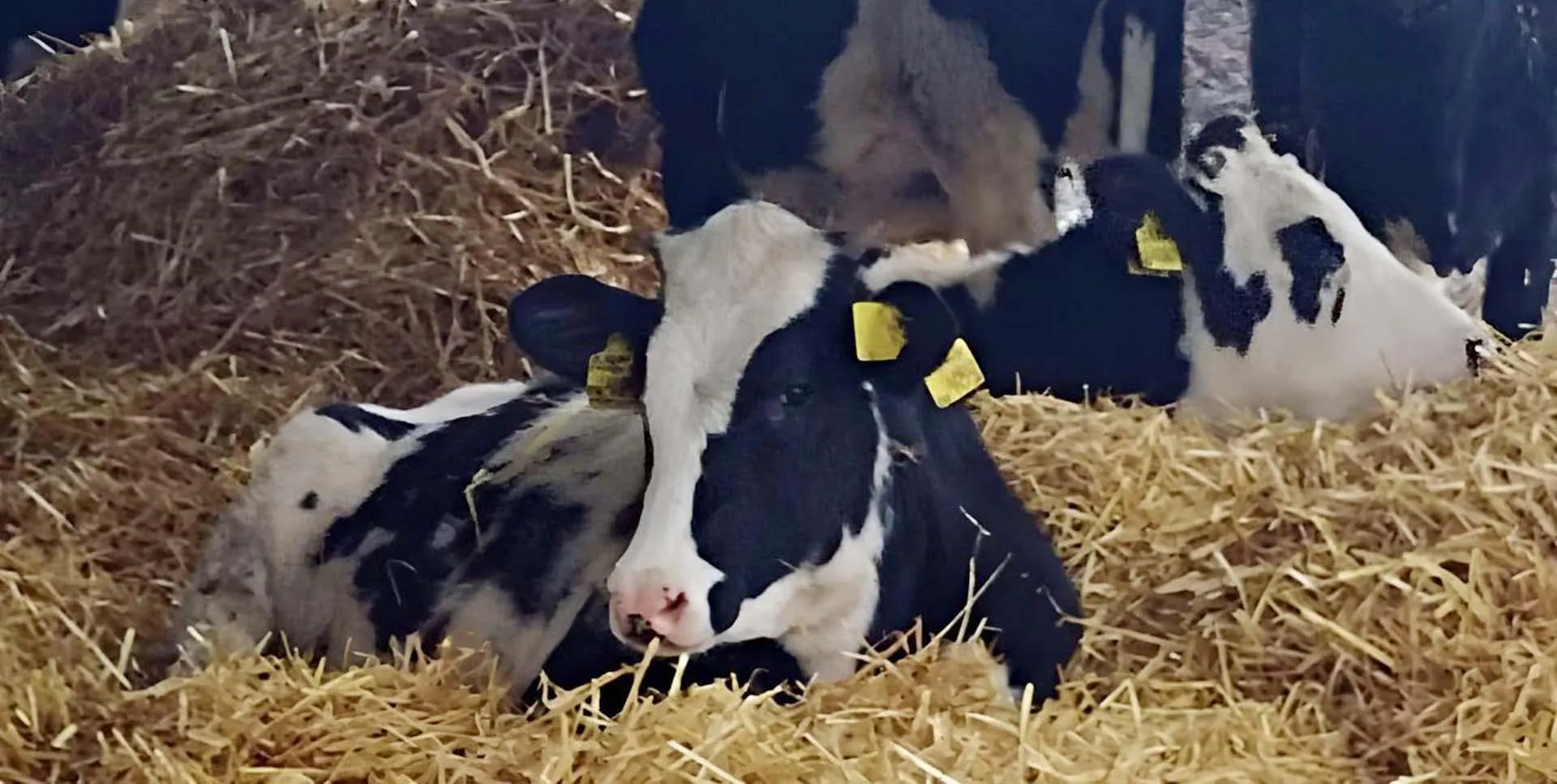 Министерство экономики Краснодарского края