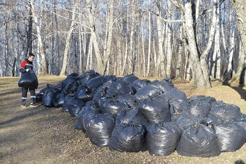 Около Соленого озера на&nbsp;Таманском полуострове прошел субботник