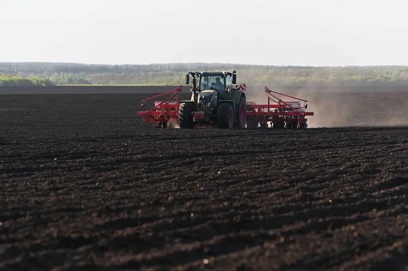 На&nbsp;Дону яровыми культурами весной засеют около 1,9&nbsp;млн га&nbsp;земли